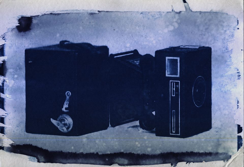 brownie-cyanotype