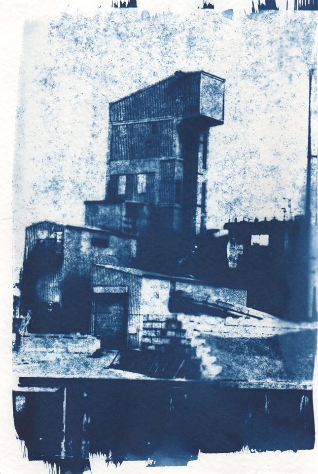 cyanotype1